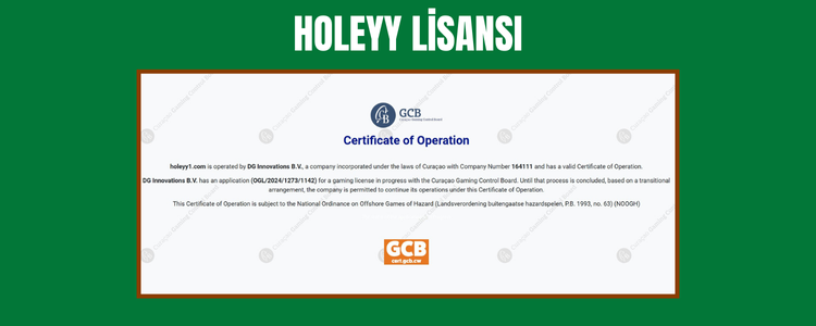 Holeyy Lisansı