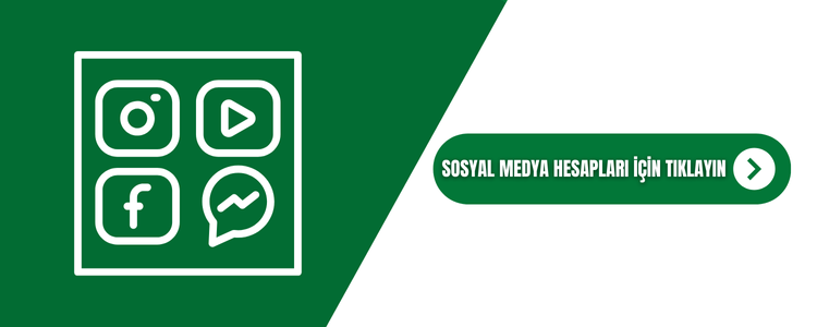 Holeyy Sosyal Medya Hesapları